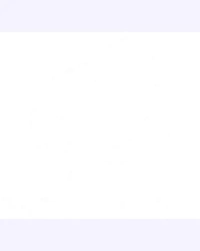 Mobilis Robotics