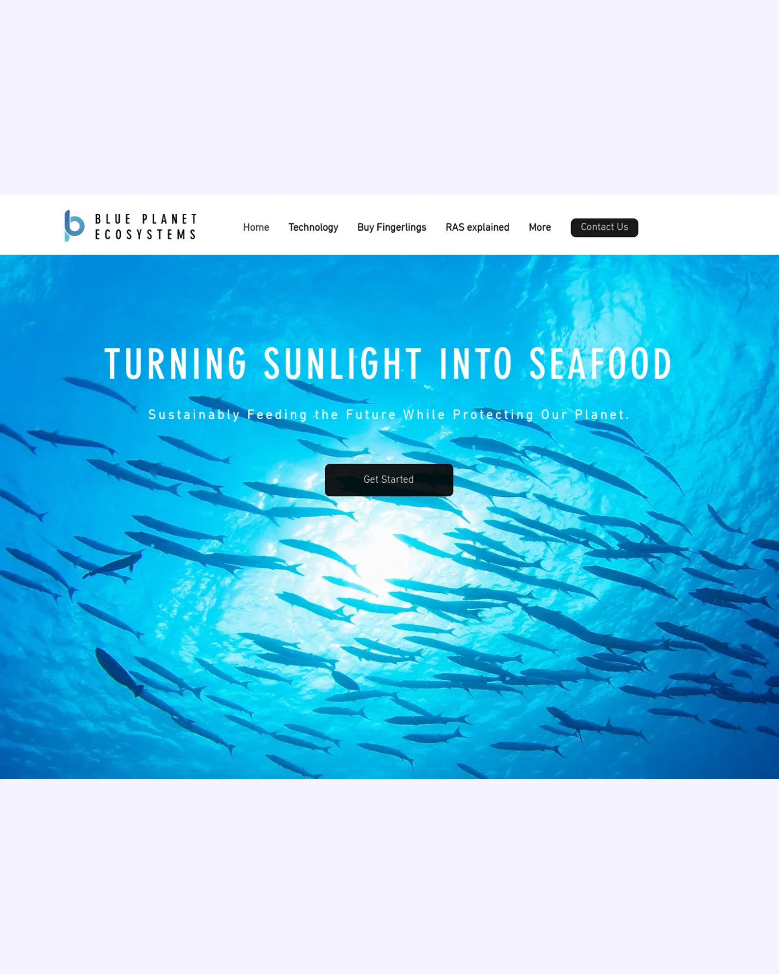 Blue Planet Ecosystems