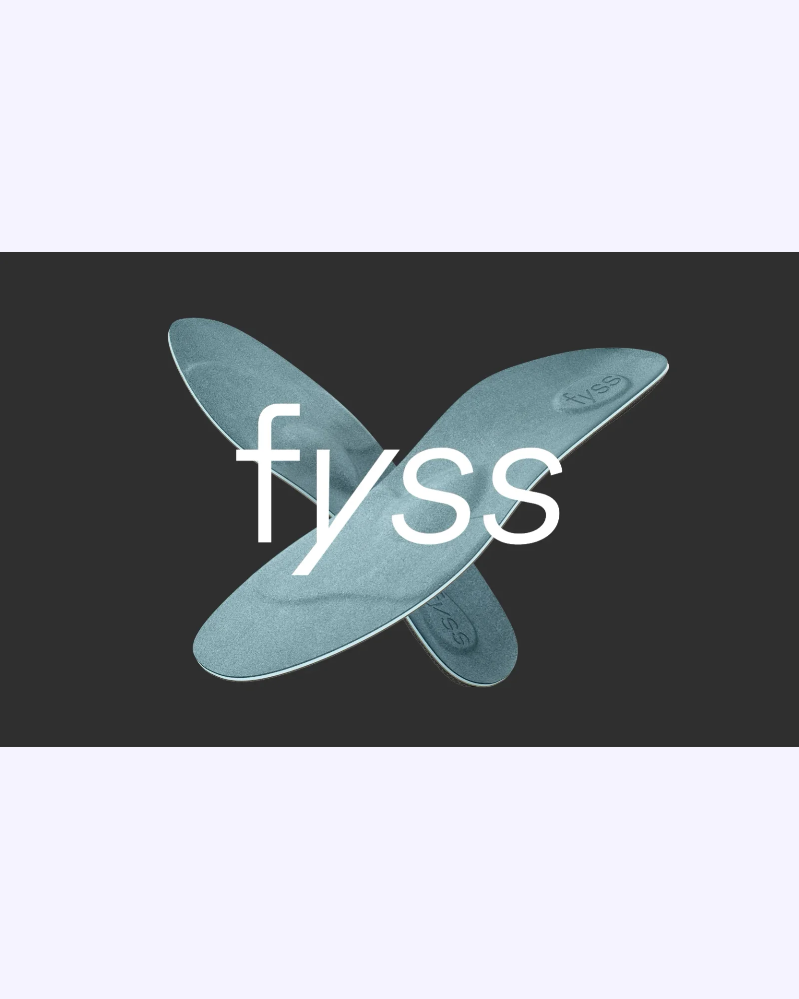 fyss.einlagen