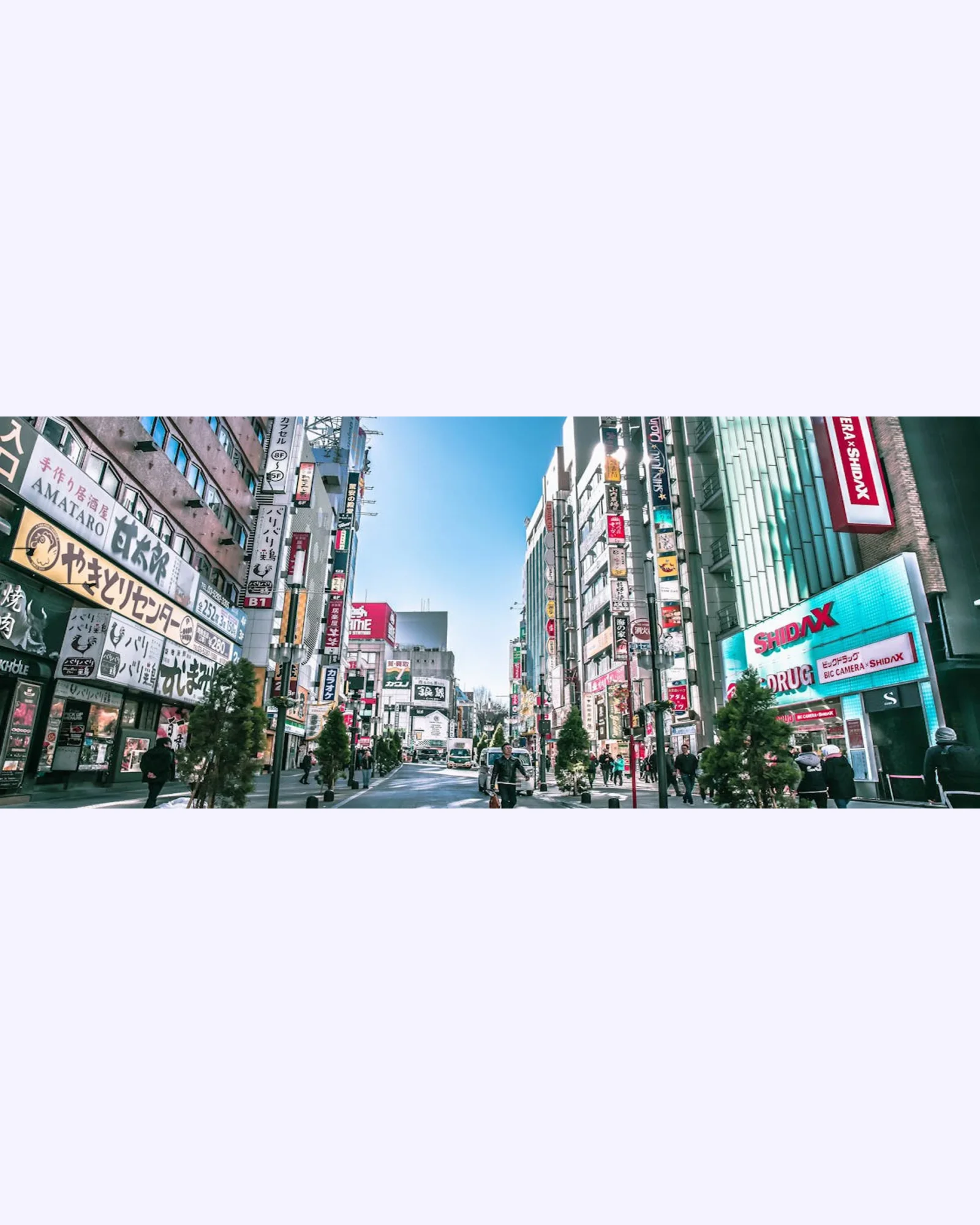 Brand Auction Japan