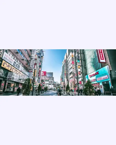 Brand Auction Japan