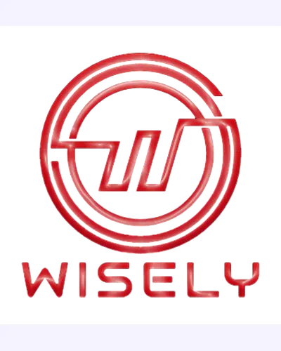 Wisely Electronics